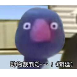 49283 B