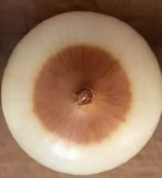 29258 B