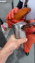 6213916 B