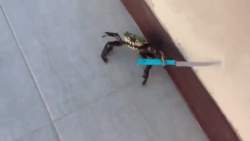 3468693 B
