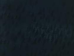 7598374 B