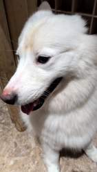 1288651 B