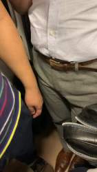 3593590 B