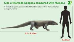 61852 B
