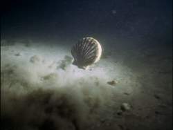 633546 B