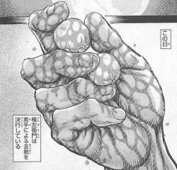 52179 B