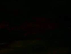 8061168 B