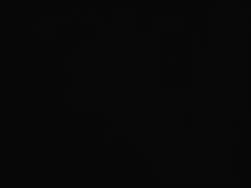 8097767 B