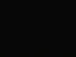 1813631 B