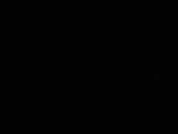 1217569 B