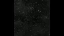 8031662 B
