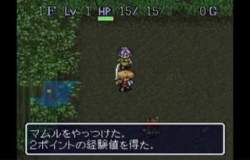 4984249 B