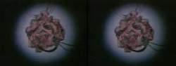 8189038 B