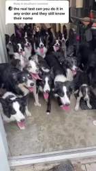 3746063 B