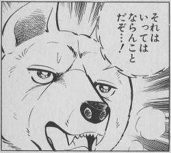 13602 B