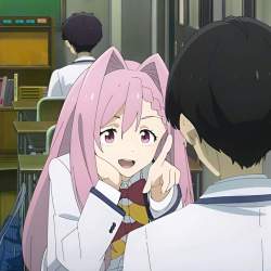 85564 B