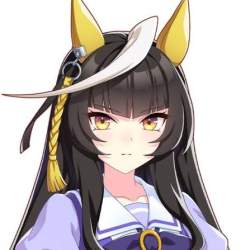 40113 B