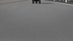 2076774 B