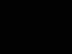 8131624 B