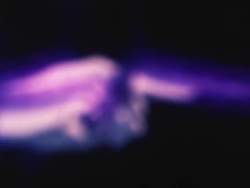 8129811 B