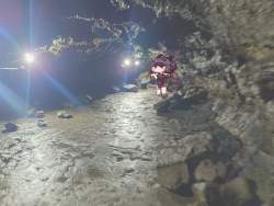 4745344 B