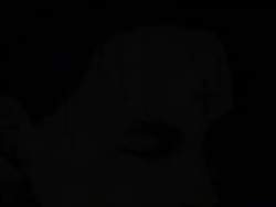 8178597 B