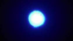 8118892 B
