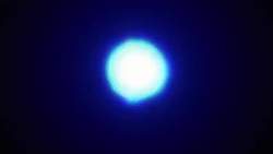 8113665 B