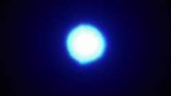 8127163 B