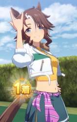 40523 B