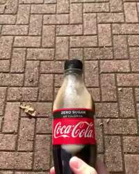 1794948 B