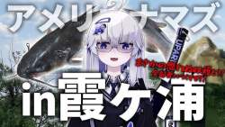 74314 B