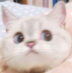 65786 B