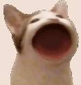 14232 B