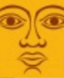 253819 B