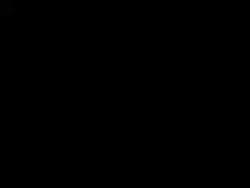 5796036 B