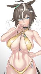 155685 B