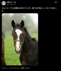 142745 B