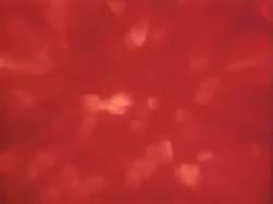759528 B