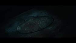 7772797 B