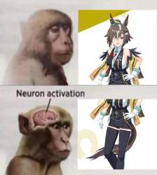 204953 B