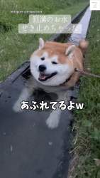 72288 B