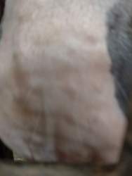 948467 B