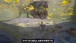 5234174 B