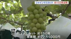 155659 B