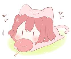 120411 B