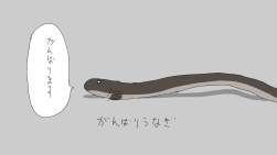 56993 B