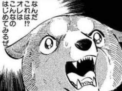 38118 B