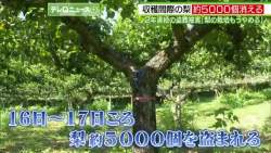 8079634 B