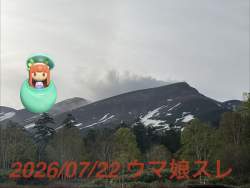 275734 B